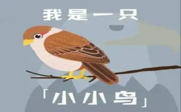 保护小鸟的作文6篇