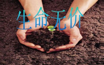 爱是无价作文精选7篇