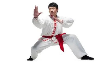 武术体育课心得体会5篇