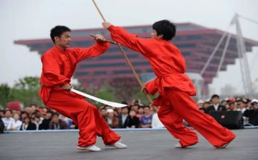 武术操体育教案8篇