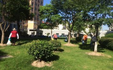 物业小区工作总结及工作计划7篇
