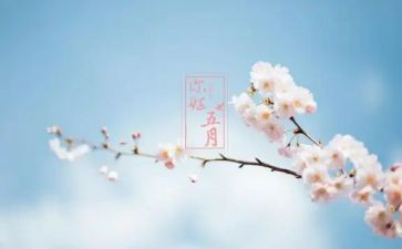 小班五月份工作计划5篇