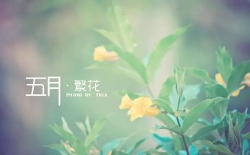 小班五月工作总结7篇