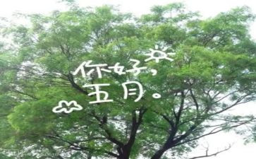 五月份安全工作计划7篇