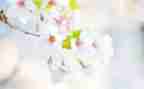 教师五月工作总结5篇