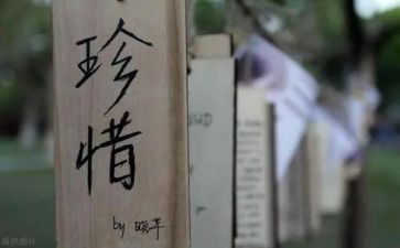 珍惜青春的演讲稿6篇