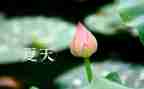 我的夏天作文6篇