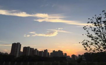 小班下班级工作计划5篇