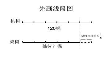 线段射线和直线教学反思7篇