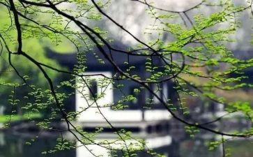 梦想起飞演讲稿6篇