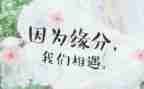 相遇类作文优秀8篇