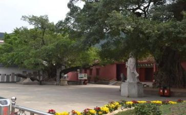 乡镇府工作述职报告精选5篇
