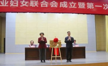 乡镇妇联个人工作总结6篇