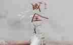 理想与现实演讲稿6篇