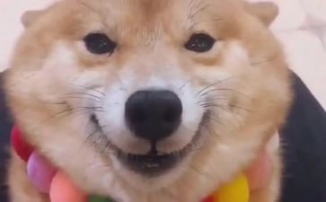 我的笑作文600字精选5篇