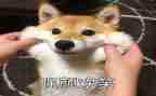 自己笑的演讲稿7篇