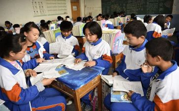学校本培训工作计划7篇