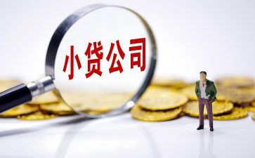 小贷借款合同5篇