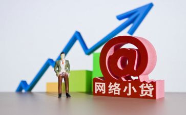 2024年小贷公司工作总结7篇