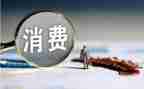 00后消费调查报告6篇