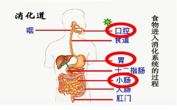 消化内科医生述职报告5篇