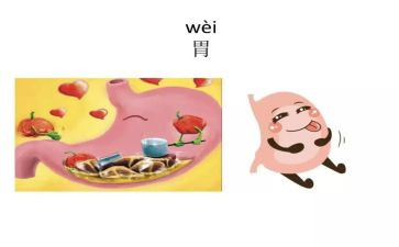 消化内科个人年度总结7篇