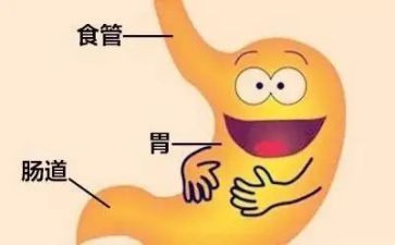 消化内科2024年工作总结8篇