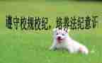 校纪检年度总结7篇