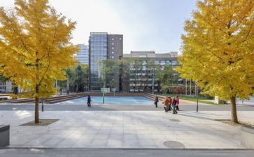 安全进校园心得体会8篇
