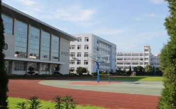 校园活动类的作文7篇
