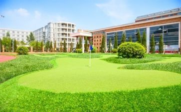安全校园活动总结5篇