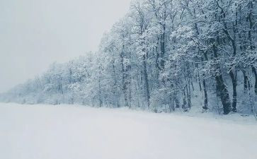 下雪啦教案通用8篇
