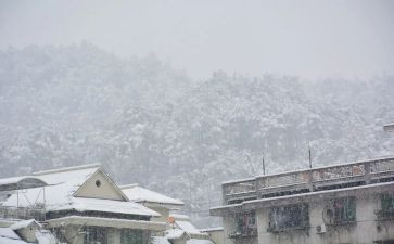 大班下雪教案5篇