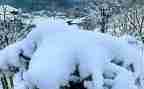 下雪啦小班教案模板6篇