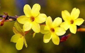 写物作文400字参考7篇