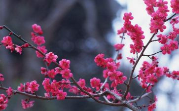 写物作文400字5篇