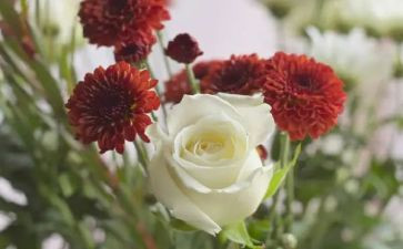 写物作文500字推荐6篇