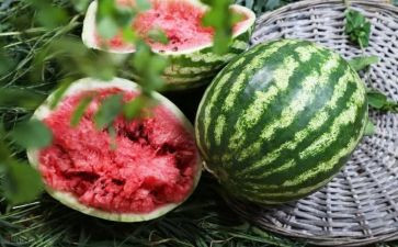 大西瓜语言教案7篇