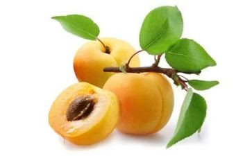 杏林子生命生命读后感7篇