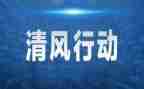 行动半年度工作总结5篇
