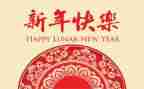 关于《新年》的作文8篇