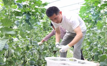 新农村房屋买卖合同优秀6篇