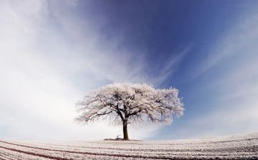 扫雪活动的心得体会最新5篇