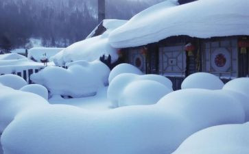 我和雪的故事作文最新5篇