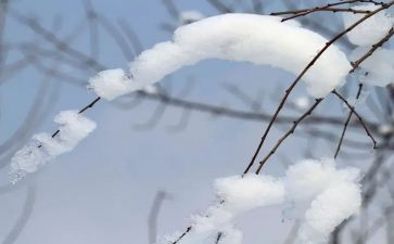 扫雪活动的心得推荐7篇