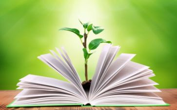 小班主班教学工作总结精选8篇