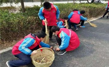 小学生学雷锋日活动总结7篇