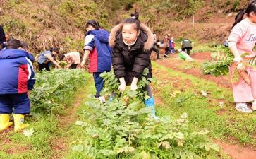 学农的心得体会推荐7篇