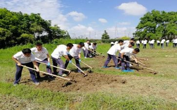 小学农村工作计划模板6篇