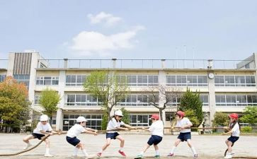 关于大学生调查报告范文6篇